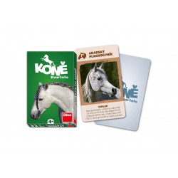 Kvarteto Kone